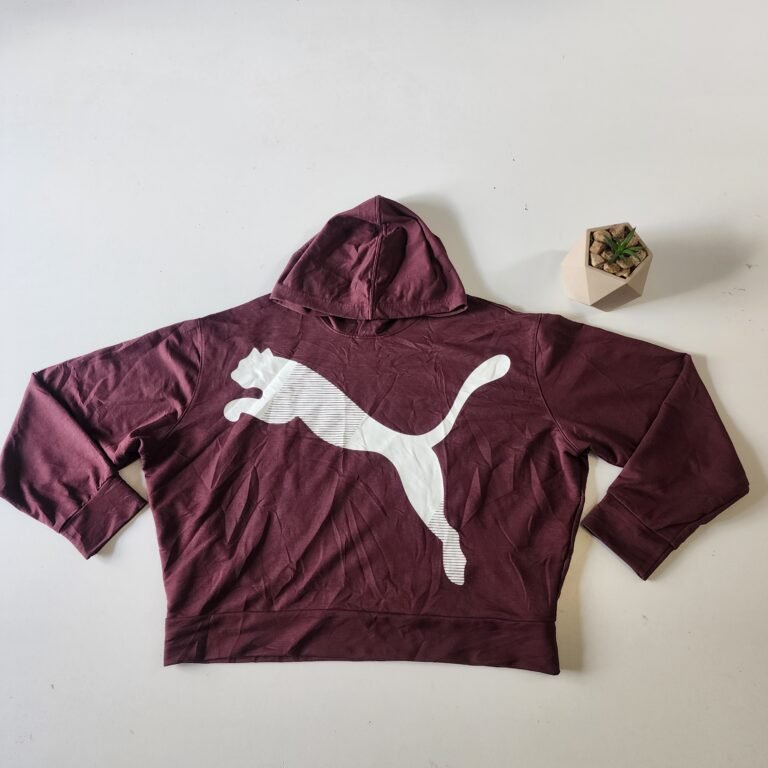 Hodd y Puma